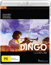 Buy Dingo | Sunburnt Screens