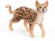 Buy Schleich Figure - Bengal Cat