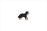 Buy Schleich Figure - Bernese Mountain Dog Female