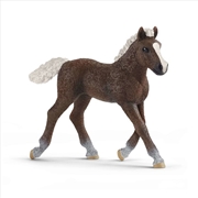 Buy Schleich Figure - Black Forest Foal