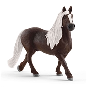 Buy Schleich Figure - Black Forest Stallion