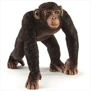 Buy Schleich Figure - Chimpanzee: Male