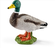 Buy Schleich Figure - Drake