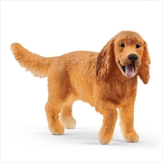 Buy Schleich Figure - English Cocker Spaniel