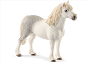 Buy Schleich - Welsh Pony Stallion