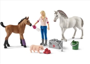 Buy Schleich-Vet visiting mare and foal