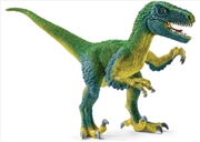 Buy Schleich - Velociraptor
