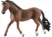 Buy Schleich - Trakehner gelding