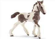 Buy Schleich - Tinker Foal