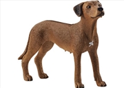 Buy Schleich - Rhodesian Ridgeback