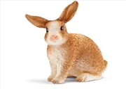Buy Schleich - Rabbit