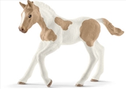 Buy Schleich-Paint horse foal