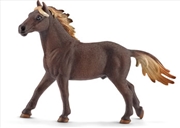 Buy Schleich - Mustang Stallion