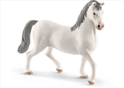 Buy Schleich-Lipizzaner stallion