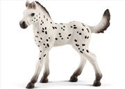 Buy Schleich-Knapstrupper foal