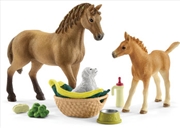 Buy Schleich - Sarah's Baby Animal Care