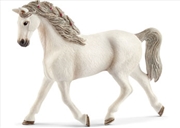 Buy Schleich - Holsteiner Mare
