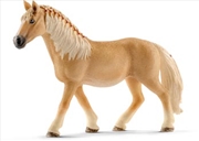 Buy Schleich - Haflinger Mare