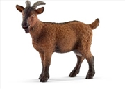 Buy Schleich - Goat