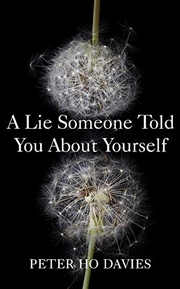 Buy ALieSomeoneToldYouAboutYourself