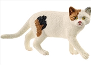 Buy Schleich - American Shorthair Cat