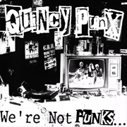 Buy We're Not Punks But We Play Them On TV