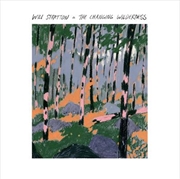 Buy Changing Wilderness