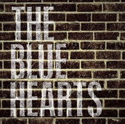 Buy Analog Ep 17 Mai Gumi Box