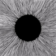 Buy Witness - Glow In The Dark Vinyl