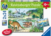 Dinosaurs Of Land And Sea  2 X 24 Piece | Merchandise