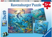 Buy Ocean Life 3 X 49 Piece Puzzle