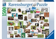 Funny Animals Puzzle 1500pc | Merchandise