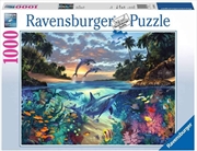 Coral Bay Puzzle 1000pc Puzzle | Merchandise