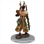 Dungeons & Dragons - Icons of the Realms Premium Female Human Druid | Games