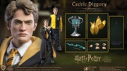Harry Potter - Cedric Diggory Deluxe 1:6 Scale 12" Action Figure | Merchandise