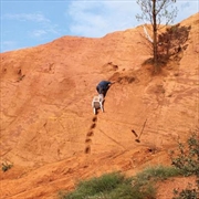 Buy Skydiving Onto The Library Floor
