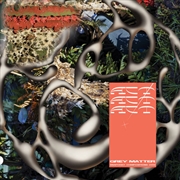 Buy Grey Matter Ar Snapchat Compos