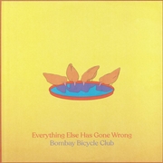 Buy Everything Else Has Gone Wrong