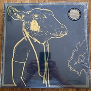 Buy Roll The Bones X