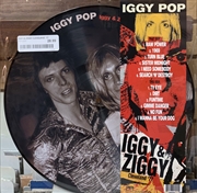 Buy Iggy And Ziggy Cleveland 77