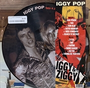 Buy Iggy And Ziggy Cleveland 77