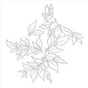 Buy Momenta Quintae Essentiae