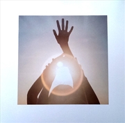Buy Shelter