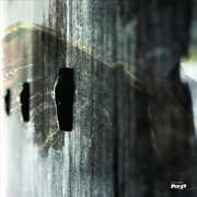 Buy On Feather And Wire