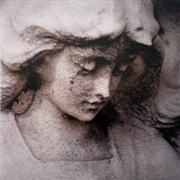 Buy Shepherds And Angels