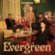Buy Evergreen