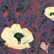 Buy Sunlight Might Weigh Even More