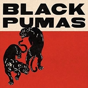 Buy Black Pumas