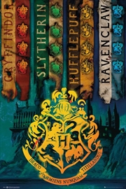 Buy Harry Potter House Flags Poster