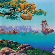 Buy Yes 50 Live